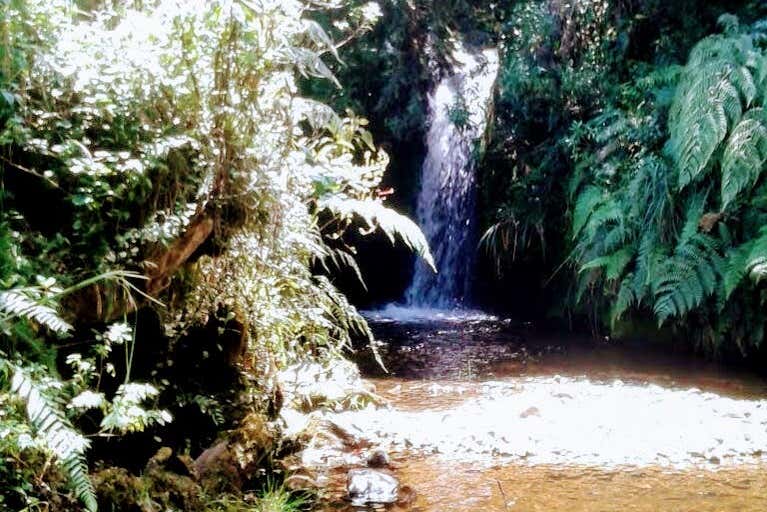 Imagen 5