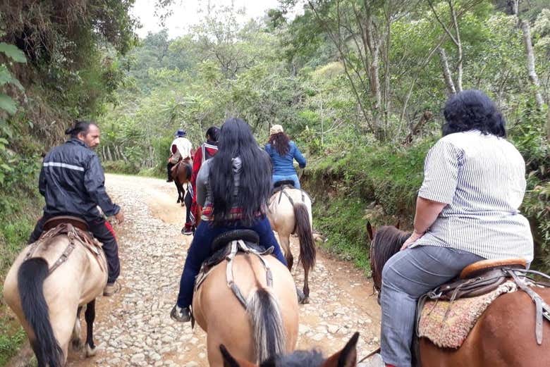 Imagen 4
