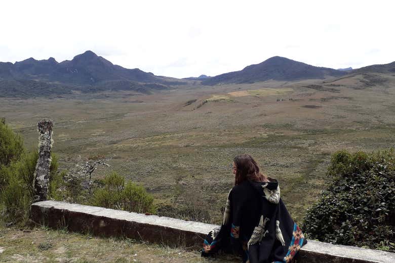 Imagen 2