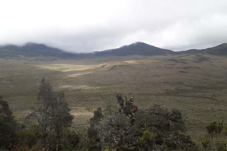 Imagen 3