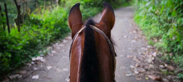 Passeggiata a cavallo a Silvia