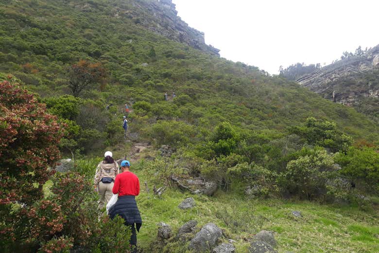 Imagen 3