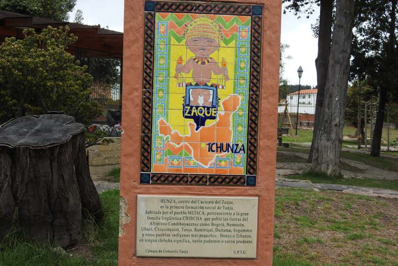 Imagen 6