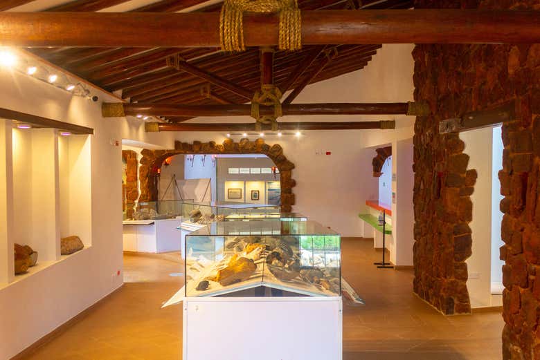 Villa de Leyva's fossil museum - Villa de Leyva's fossil museum