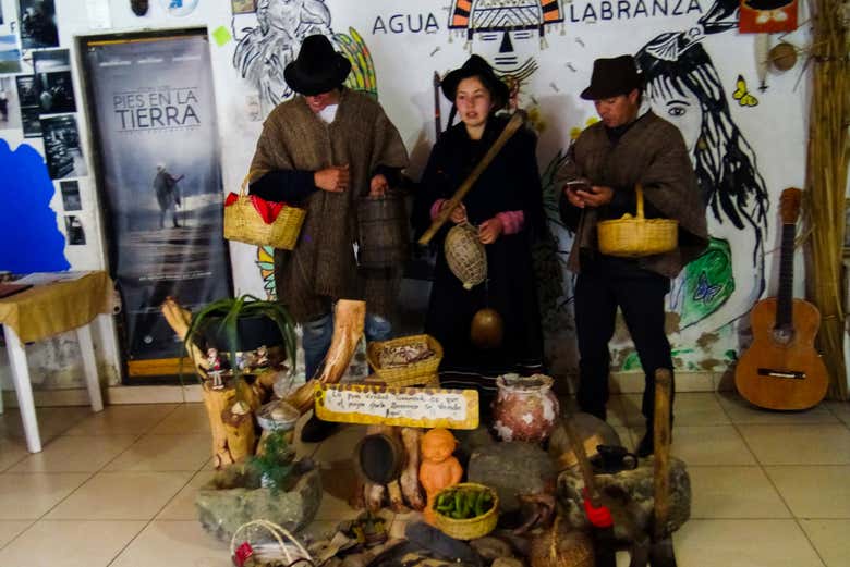 Imagen 5
