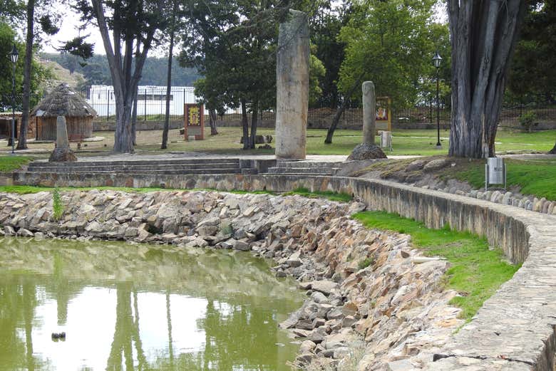 Imagen 5