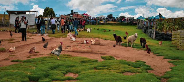 Tour rurale e d'avventura a Tunja