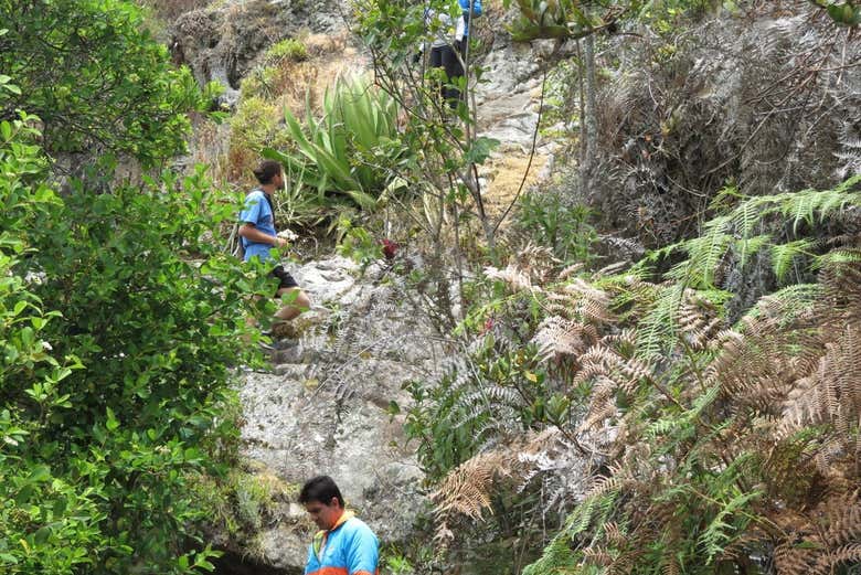Beautiful natural scenery - Beautiful natural scenery