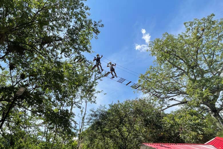 Zipline, Suspension Bridge + Abseiling in Útica
