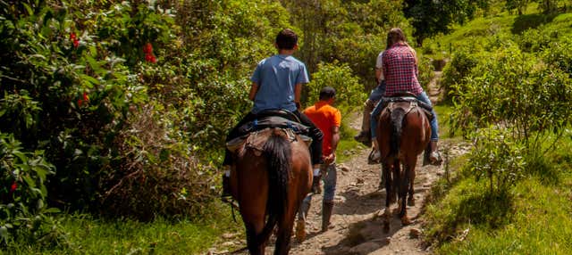 Passeggiata a cavallo a Útica