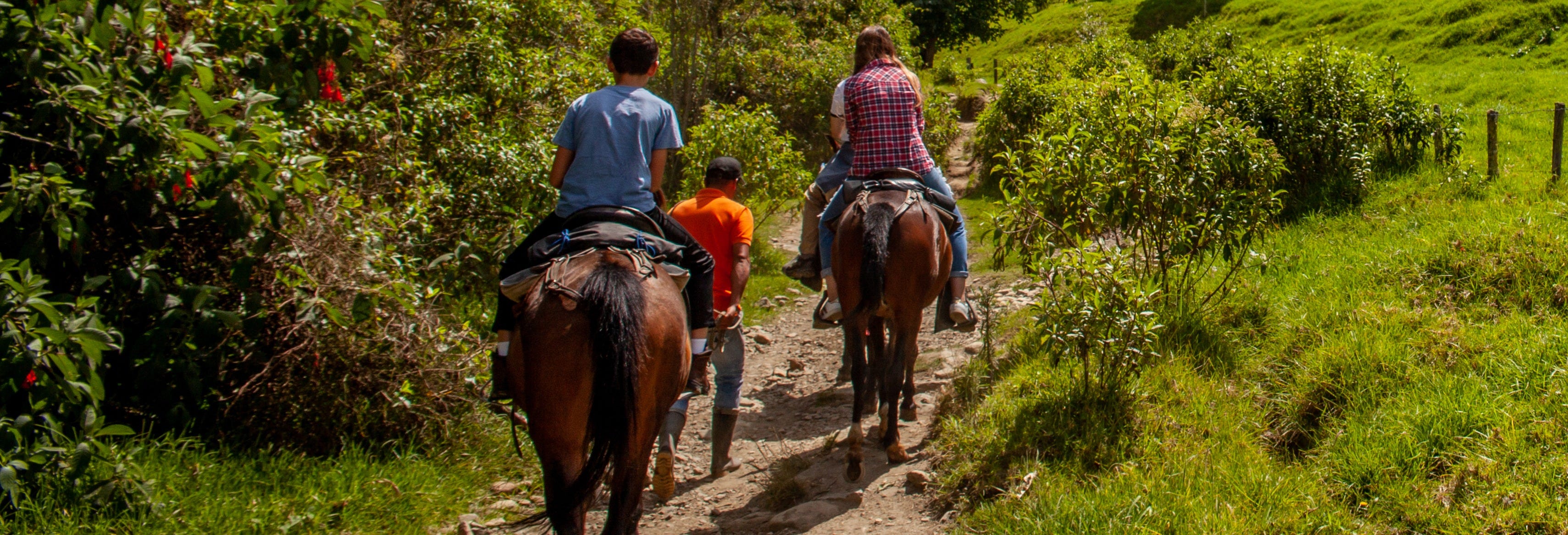 Útica Horse Riding Tour