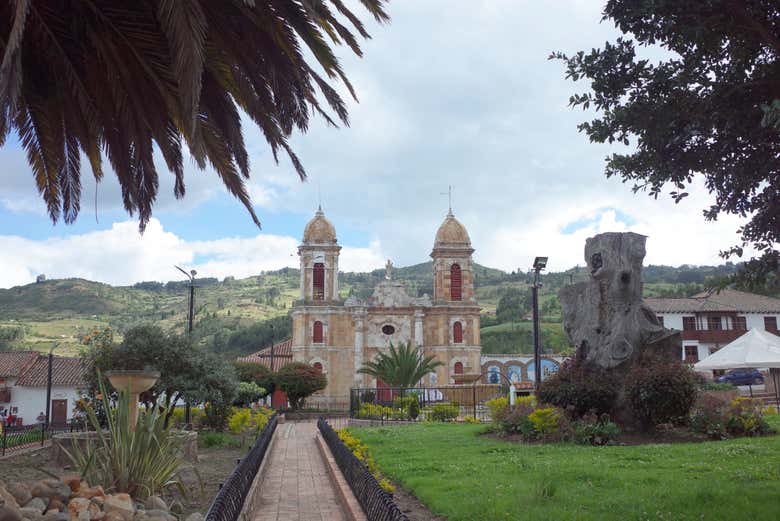 Imagen 5