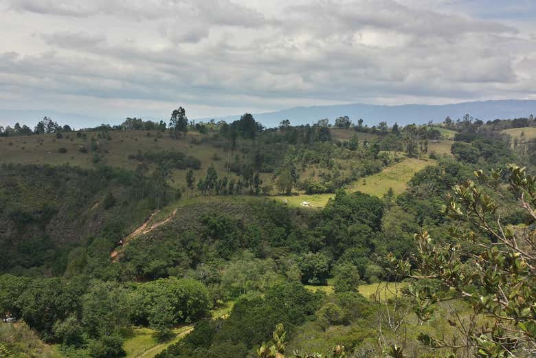 Imagen 3