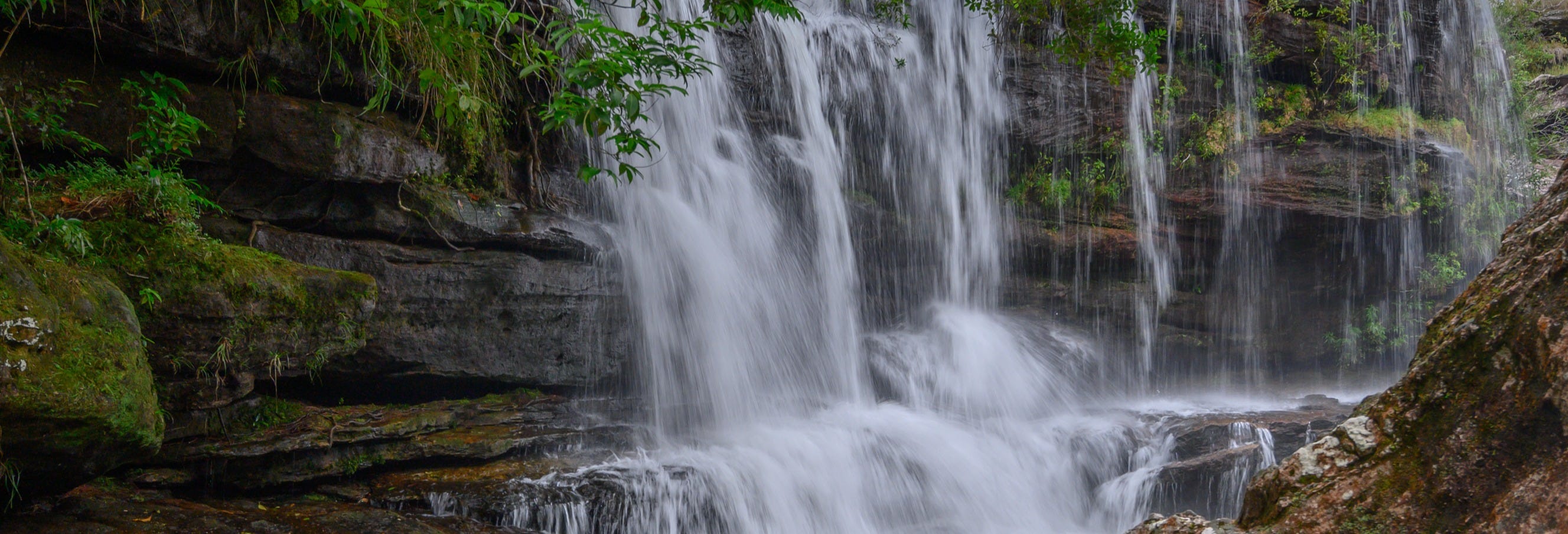 Caracas, Pelton & Santuario Waterfalls Tour