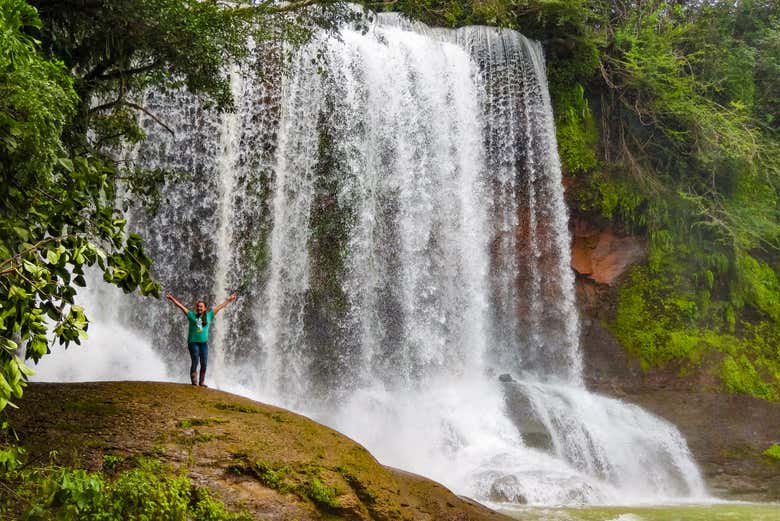 Imagen 7