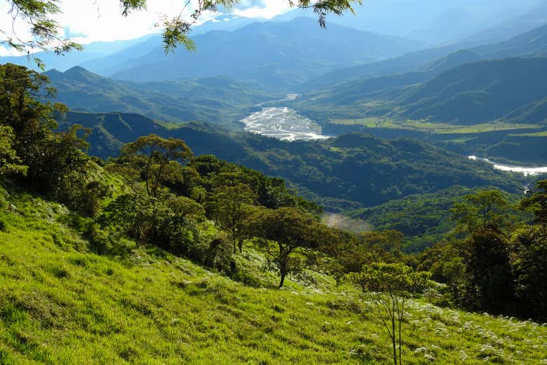 Imagen 7