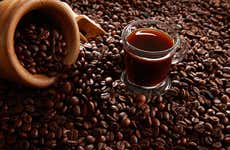 Lejanías Coffee Tour