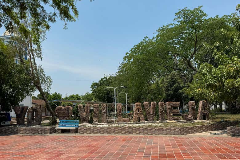 Imagen 8