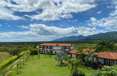 Visita à vinícola e cervejaria Casa Bohemia