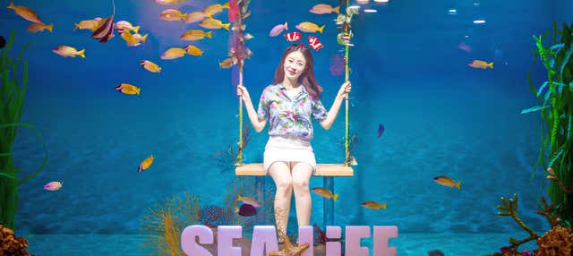 Biglietti per l'Acquario di Busan