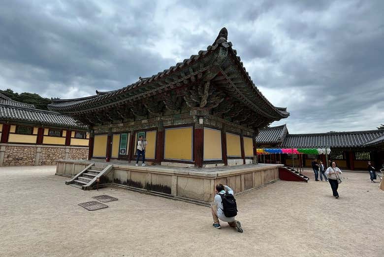 Imagen 7