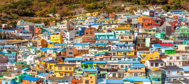 Tour privato di Busan