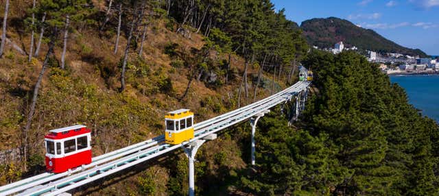 Tour in tram o Sky Capsule a Busan