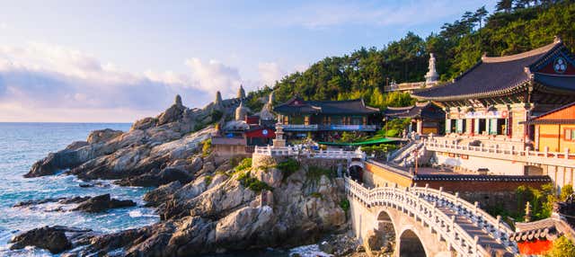 Visita guidata a Busan