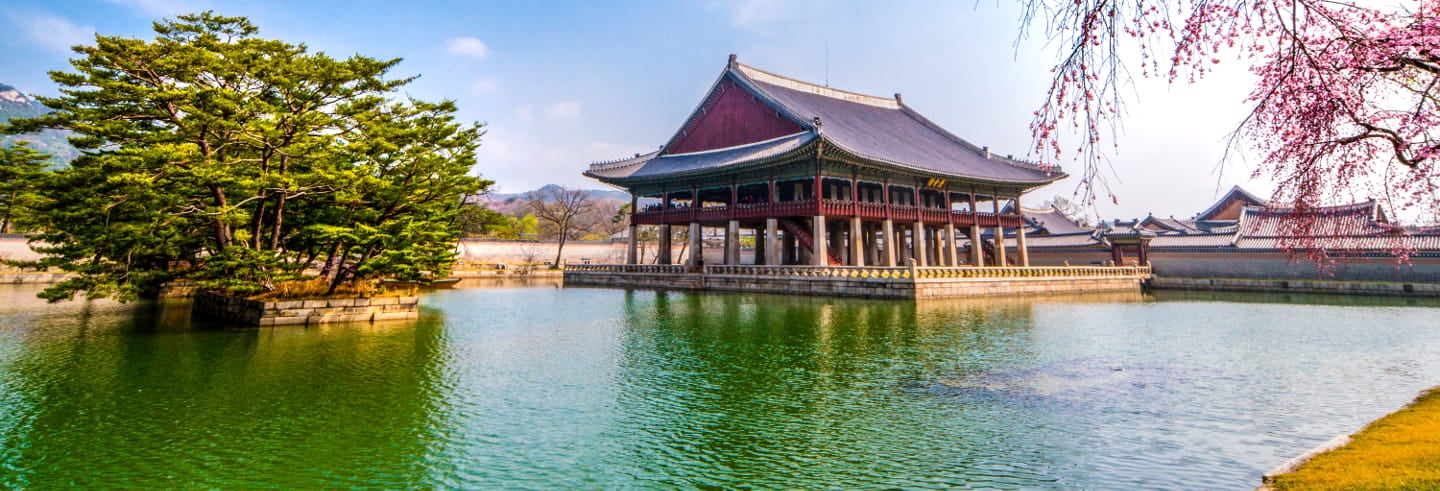 guided tours to south korea