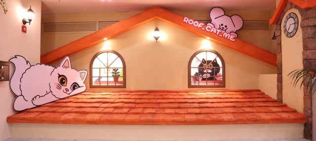 Biglietti per la caffetteria Roof Cat Me