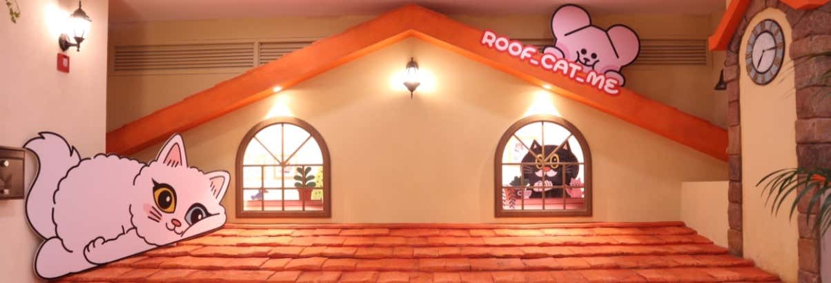 Roof Cat Me Tickets