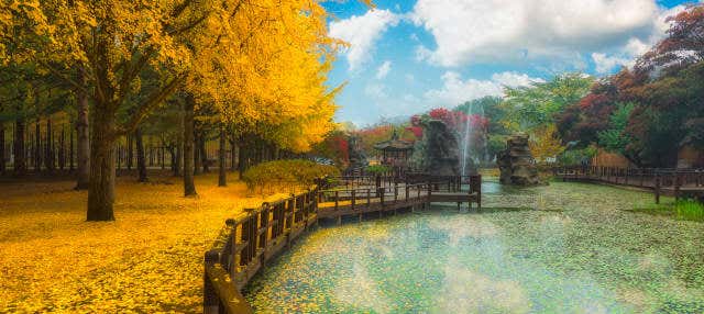 Escursione alla Petite France e all'isola Nami + Rail bike