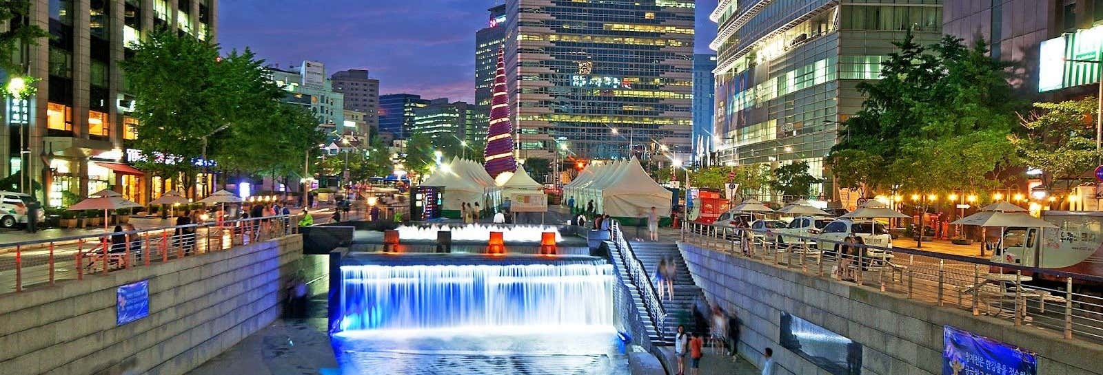 Tour serale di Seul