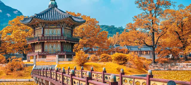 Tour completo di Seul con biglietti