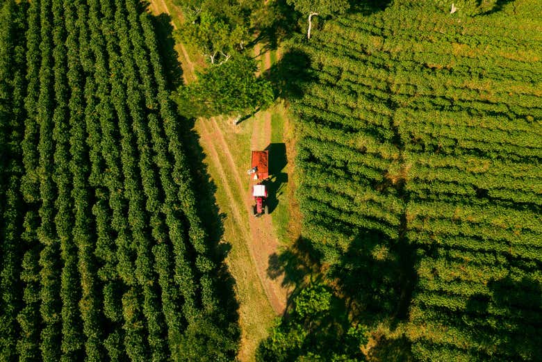 Ver más fotos
