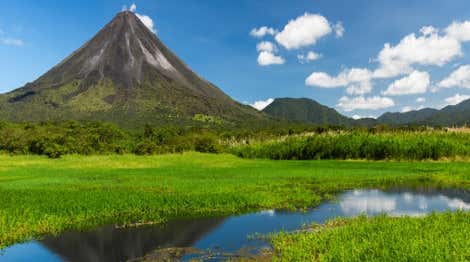 Arenal