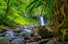 Arenal Volcano & La Fortuna Waterfall Tour