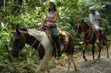 La Fortuna Waterfall Horseback Ride