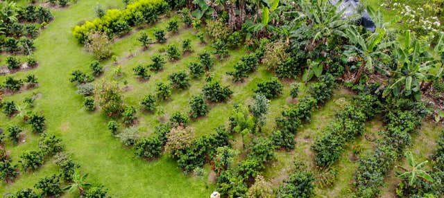 Tour del caffè e del cioccolato