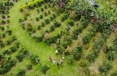 Arenal Coffee & Chocolate Tour