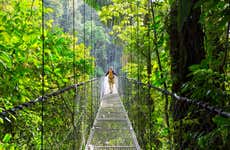 Mistico Park Hanging Bridges Tour
