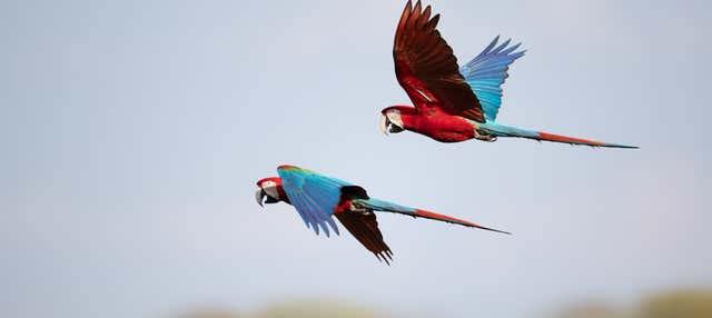 Birdwatching alla tenuta Río Agujitas
