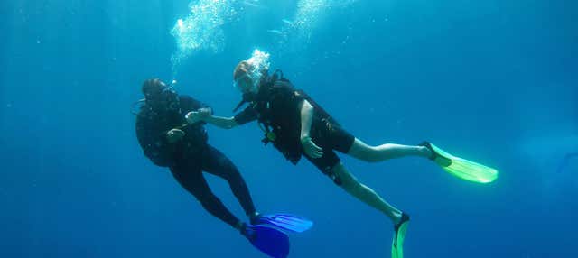 Immersione per principianti all'Isla del Caño