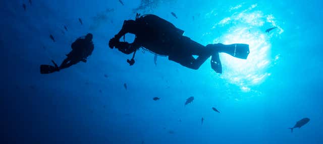 Immersione a Isla del Caño
