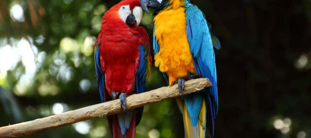 Escursione a San Pedrillo