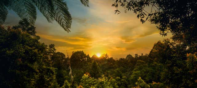 Trekking nel Parco Nazionale del Corcovado