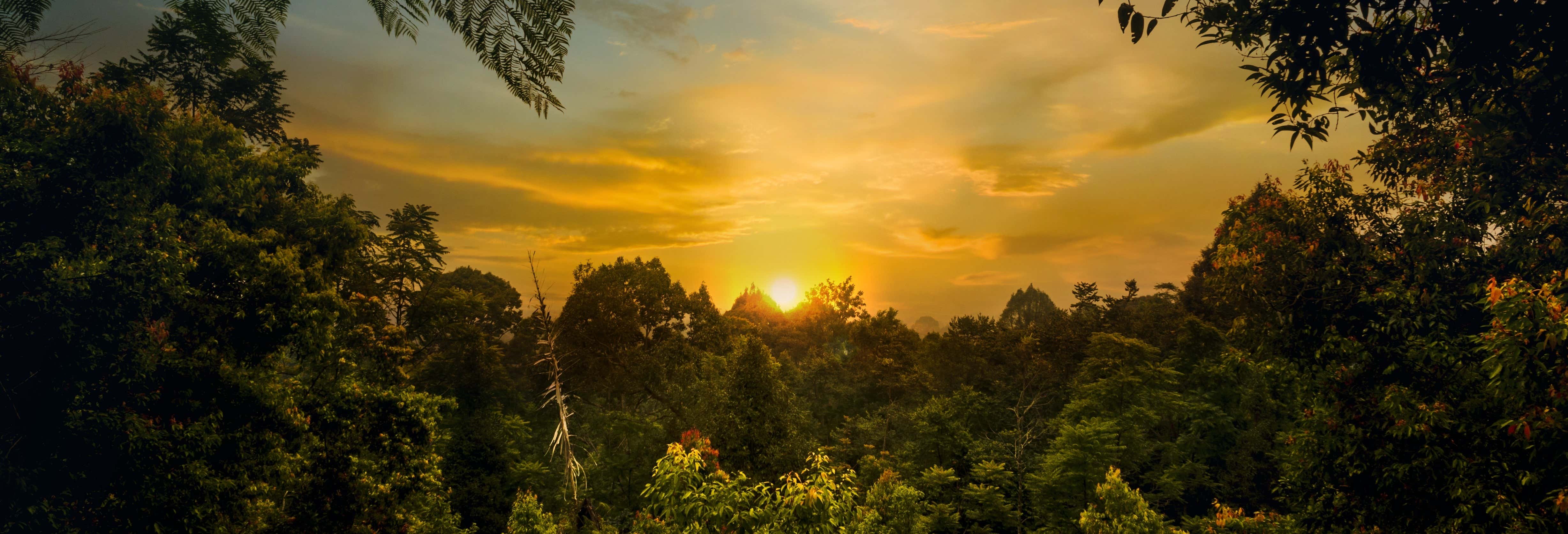 Trekking nel Parco Nazionale del Corcovado