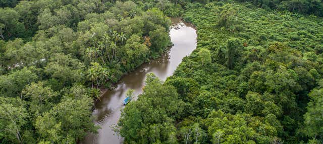 Tou delle mangrovie del fiume Sierper in kayak