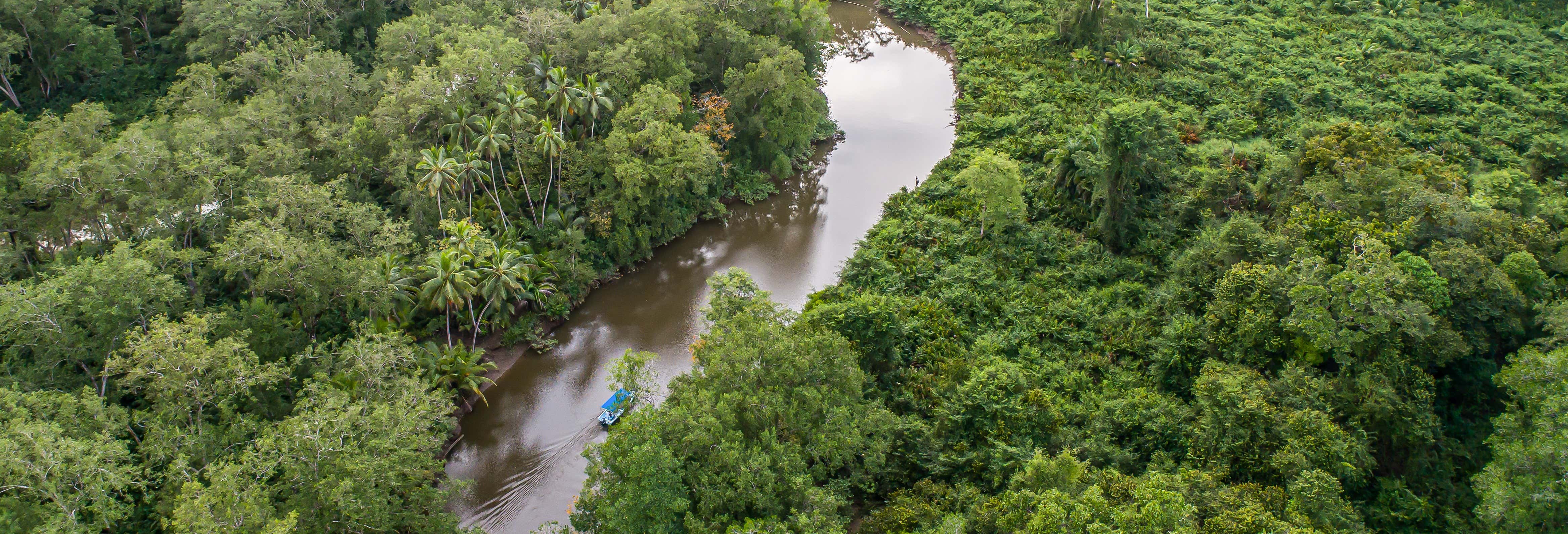 Sierpe River Mangrove Kayak Tour