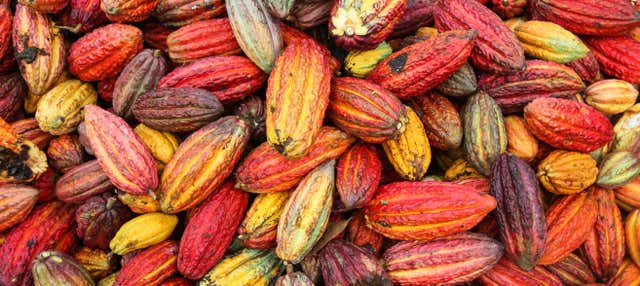 Escursione di 2 giorni alla comunità indigena di Yorkín